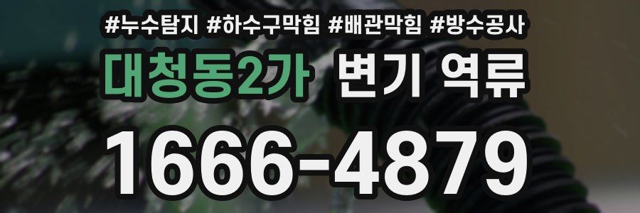 대청동2가 변기 역류