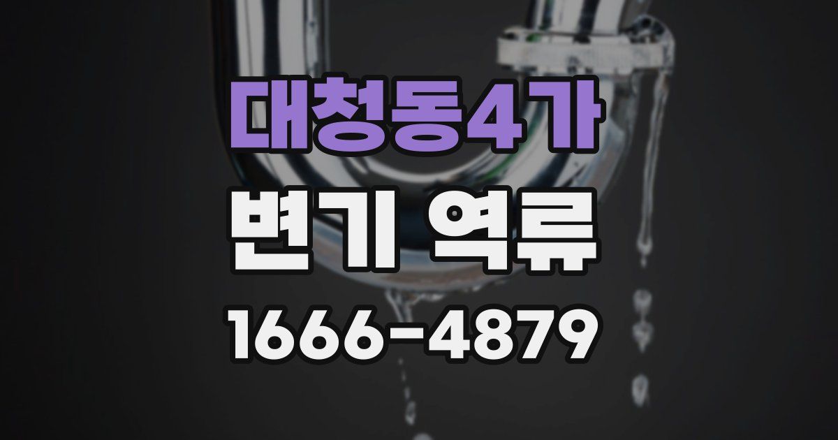 대청동4가 변기 역류