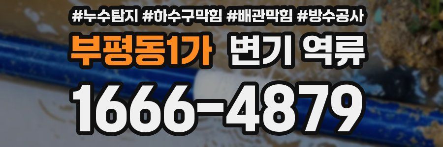 부평동1가 변기 역류