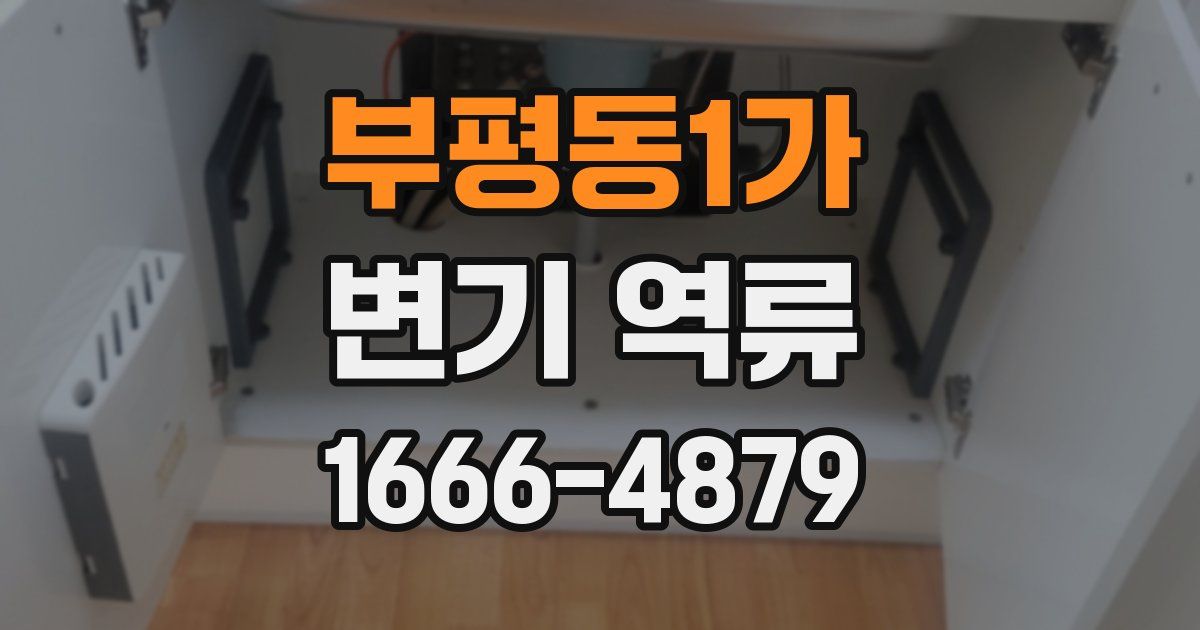 부평동1가 변기 역류