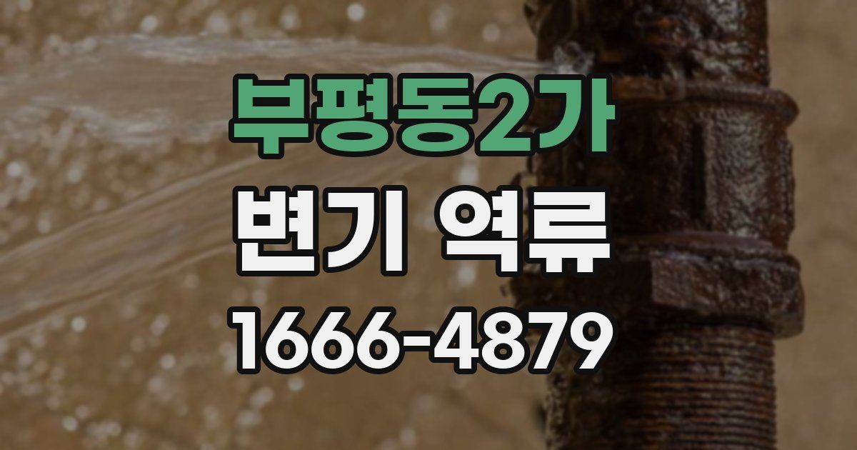 부평동2가 변기 역류