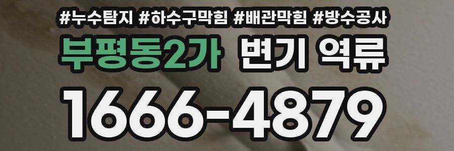 부평동2가 변기 역류