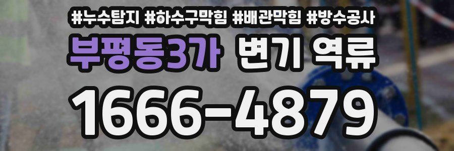 부평동3가 변기 역류