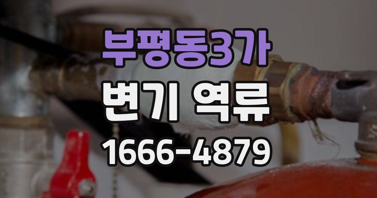 부평동3가 변기 역류