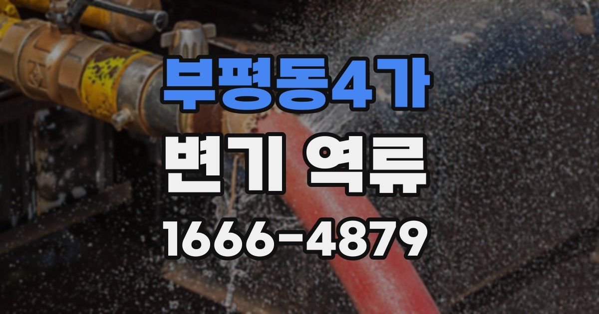 부평동4가 변기 역류