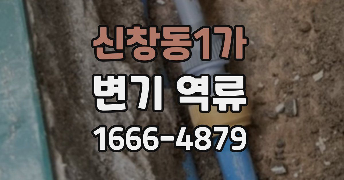 신창동1가 변기 역류
