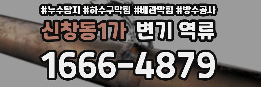 신창동1가 변기 역류