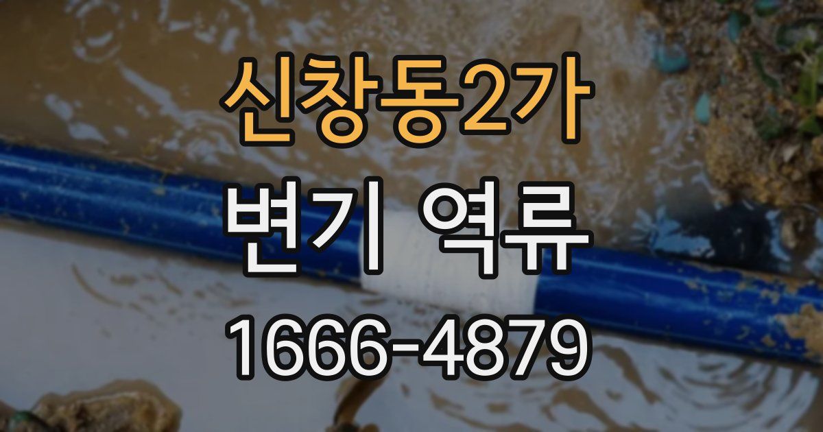 신창동2가 변기 역류