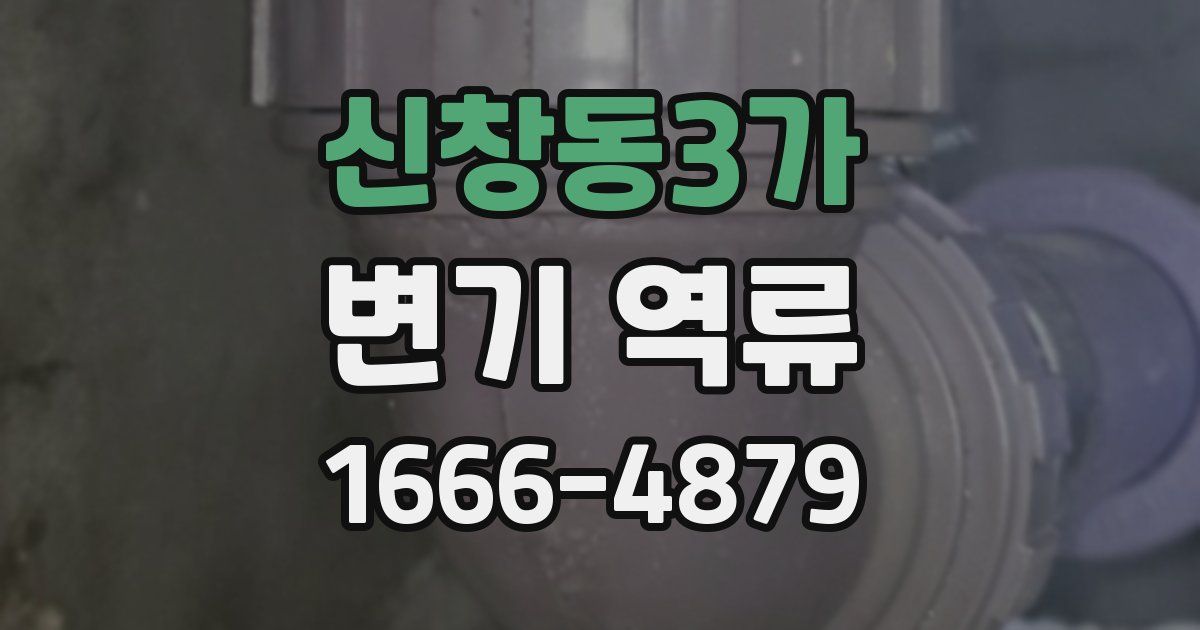신창동3가 변기 역류