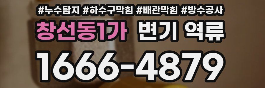 창선동1가 변기 역류