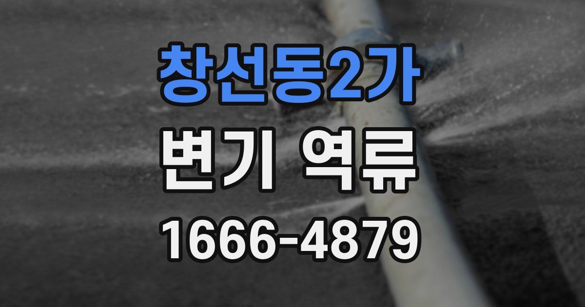 창선동2가 변기 역류