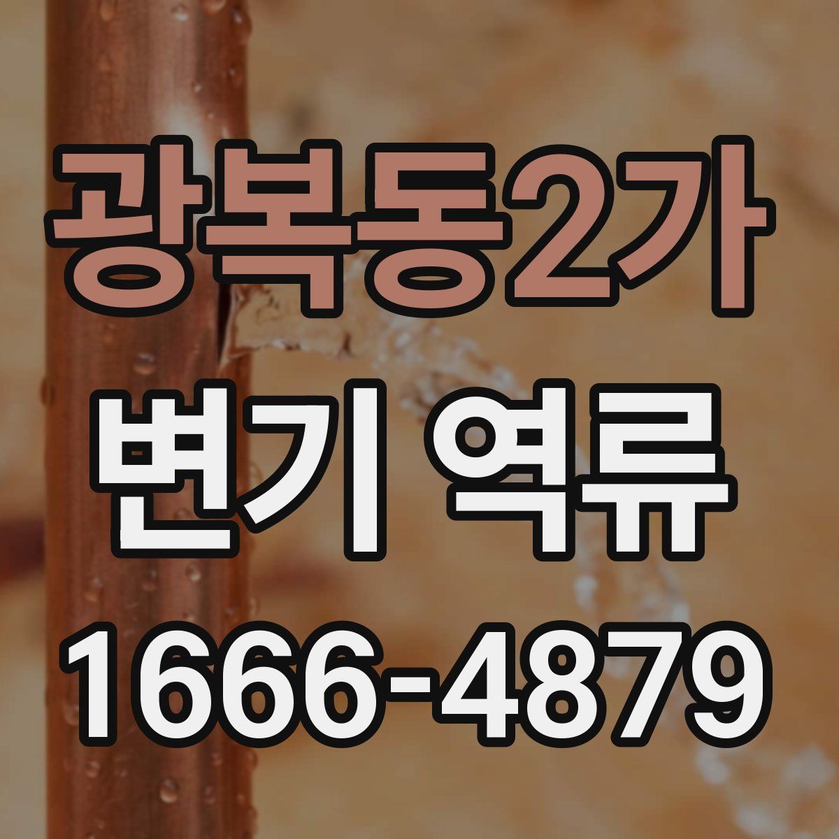 광복동2가 변기 역류