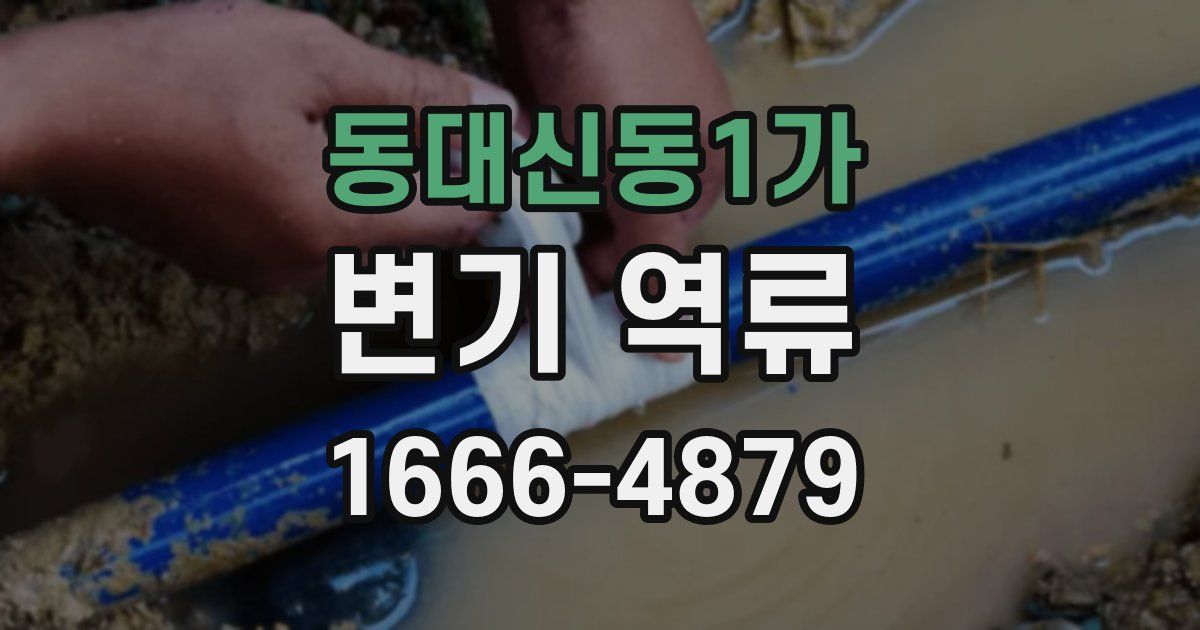 동대신동1가 변기 역류