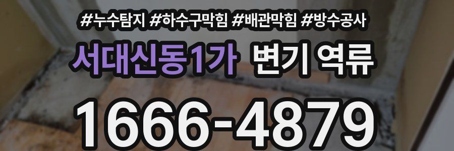 서대신동1가 변기 역류