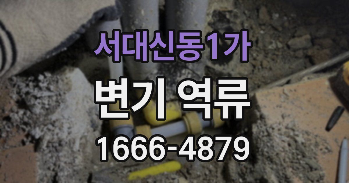 서대신동1가 변기 역류