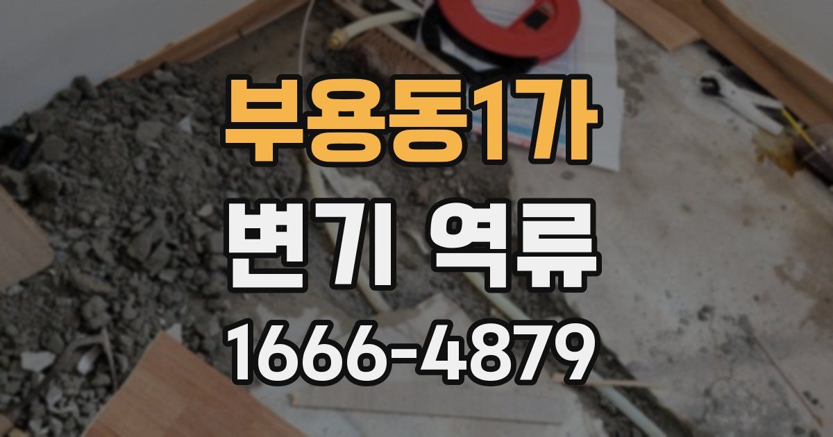 부용동1가 변기 역류