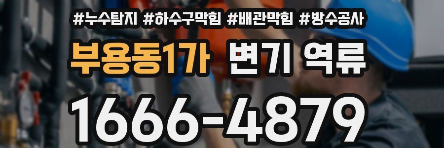 부용동1가 변기 역류