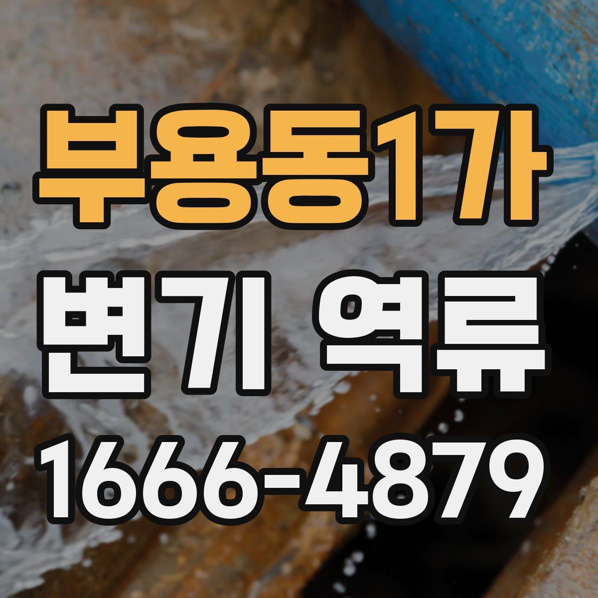 부용동1가 변기 역류