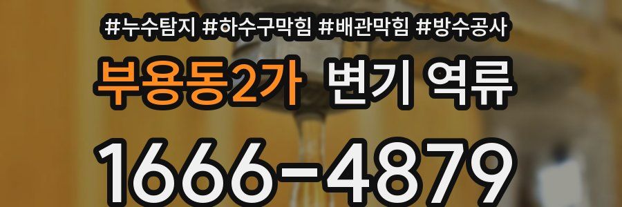 부용동2가 변기 역류