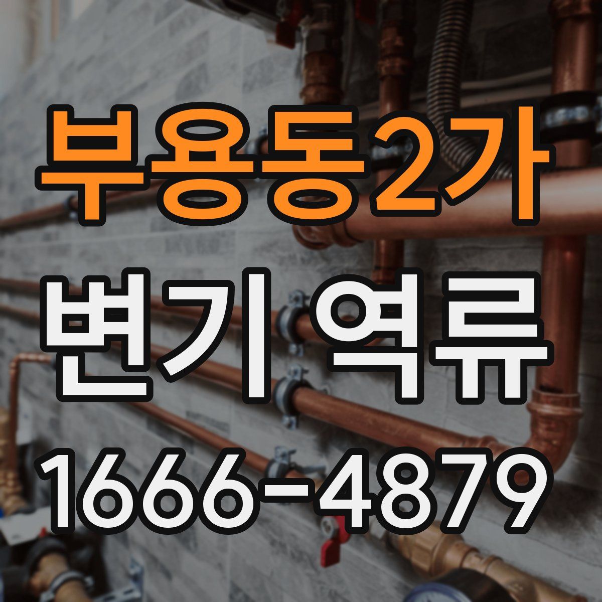 부용동2가 변기 역류