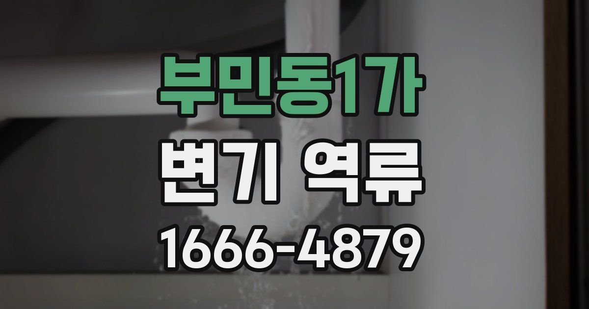 부민동1가 변기 역류