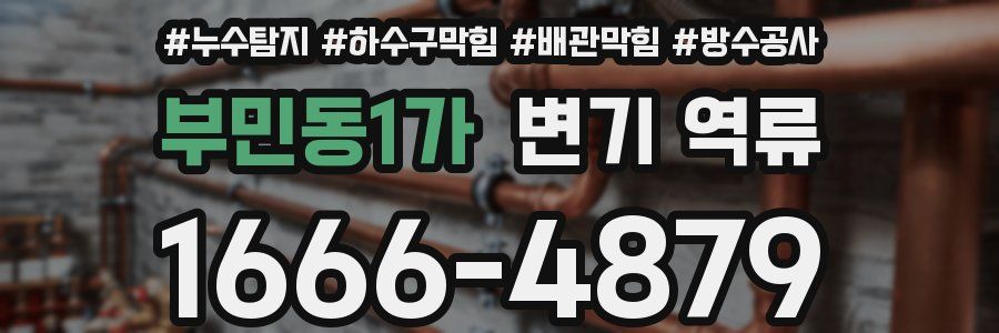 부민동1가 변기 역류