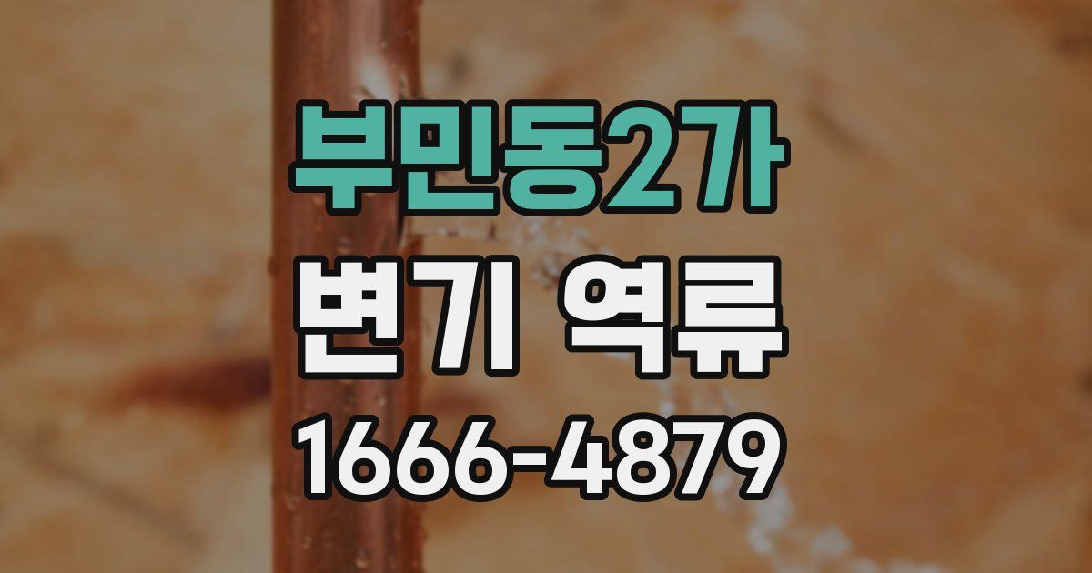 부민동2가 변기 역류