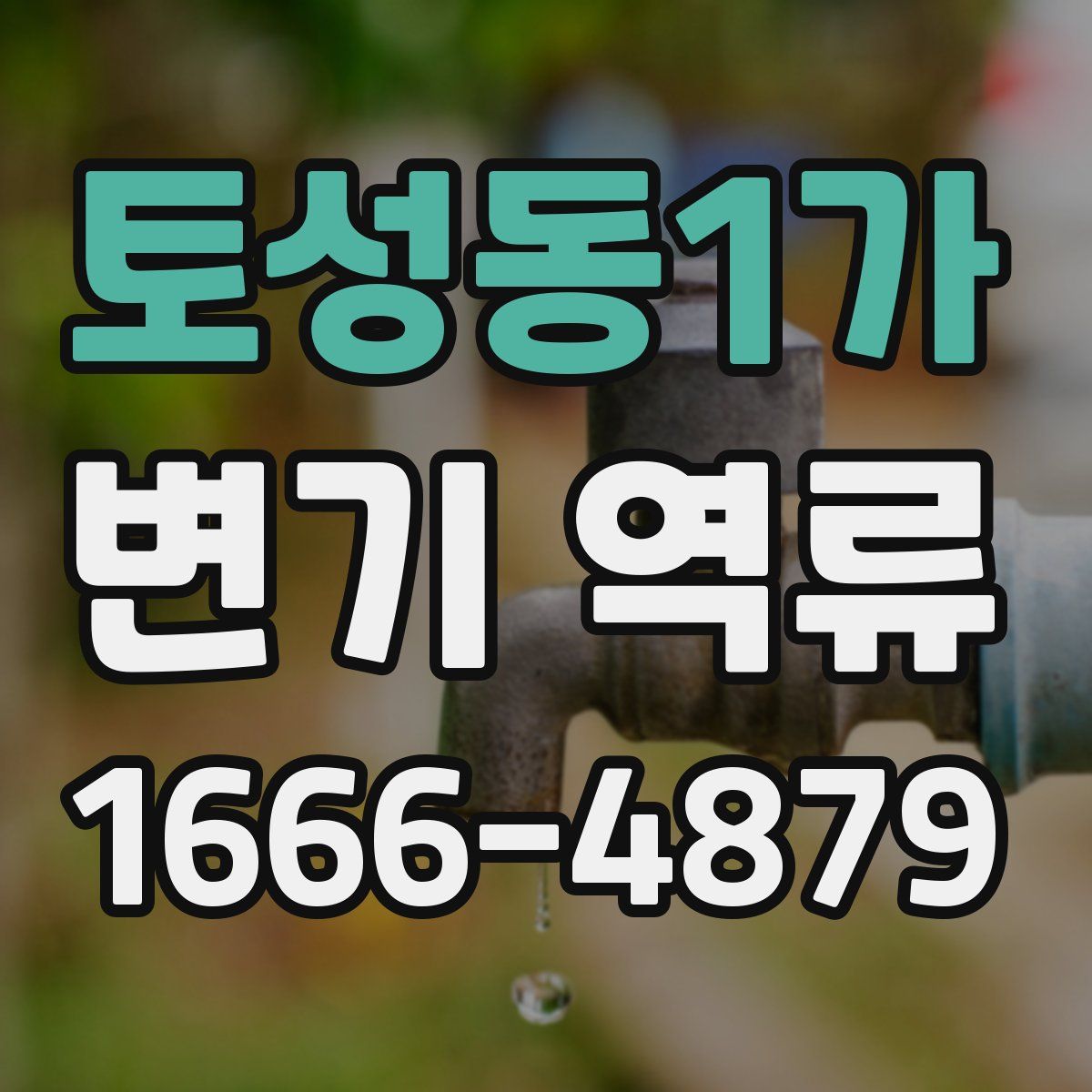 토성동1가 변기 역류