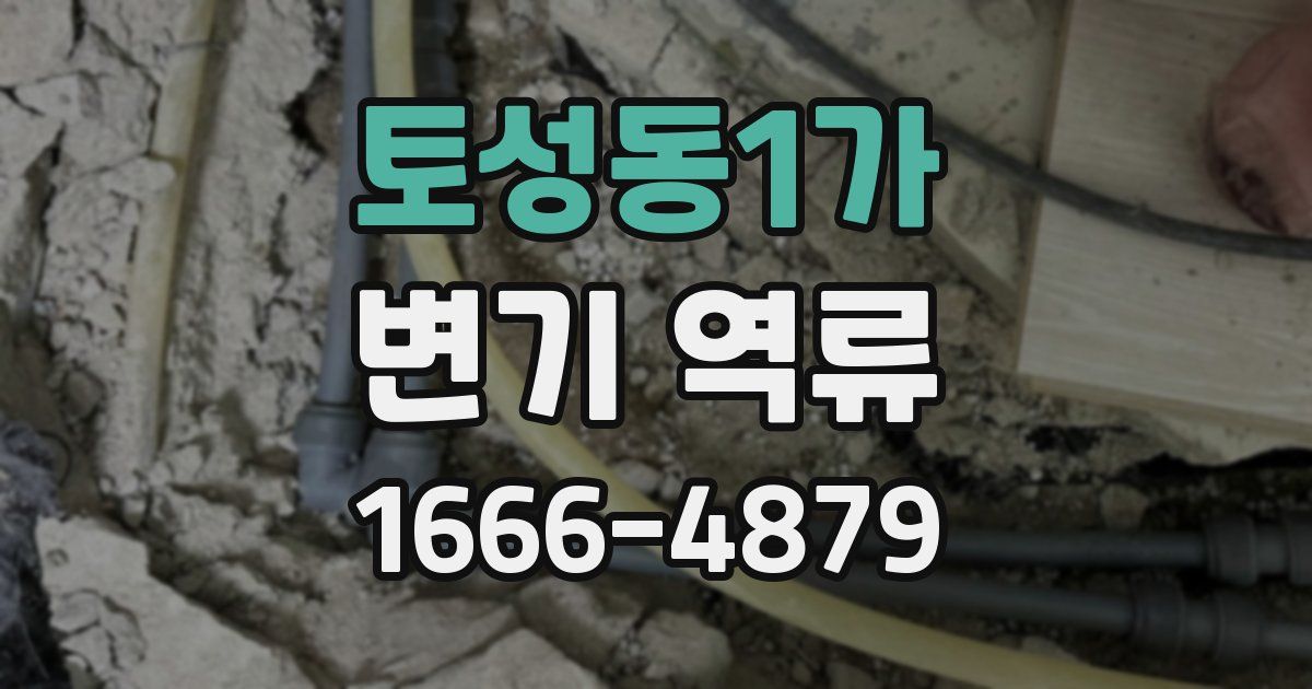 토성동1가 변기 역류