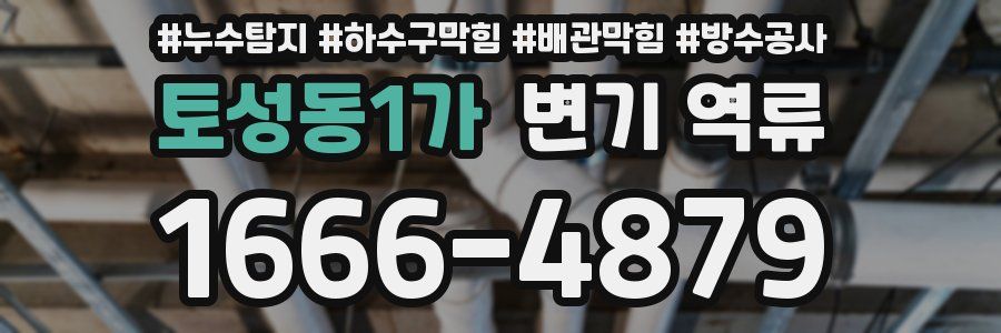 토성동1가 변기 역류