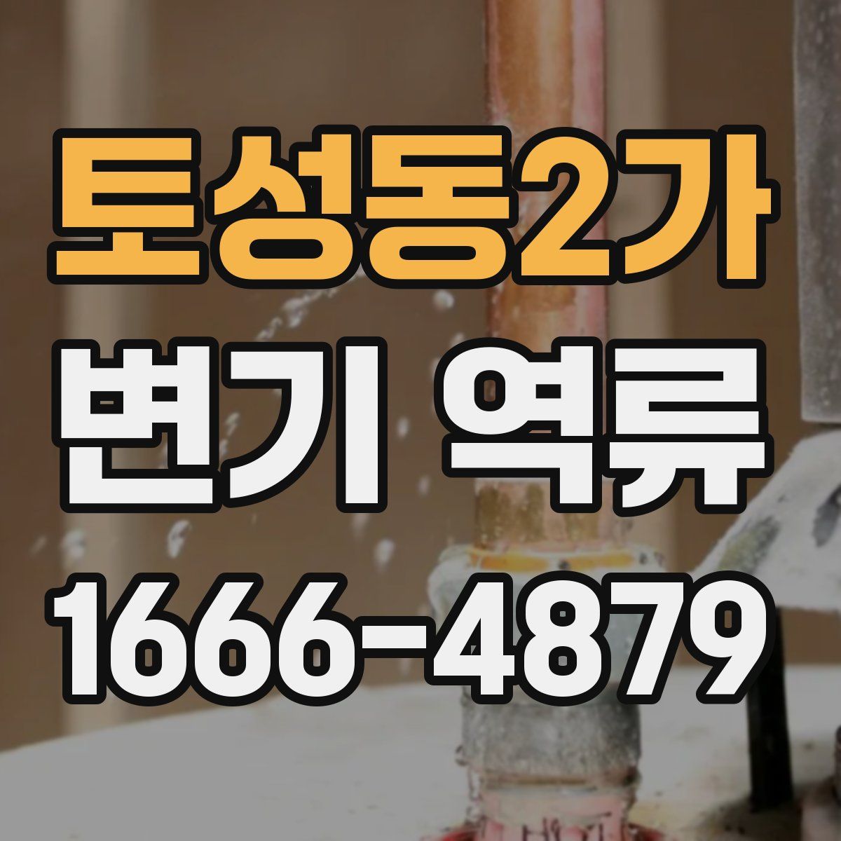 토성동2가 변기 역류