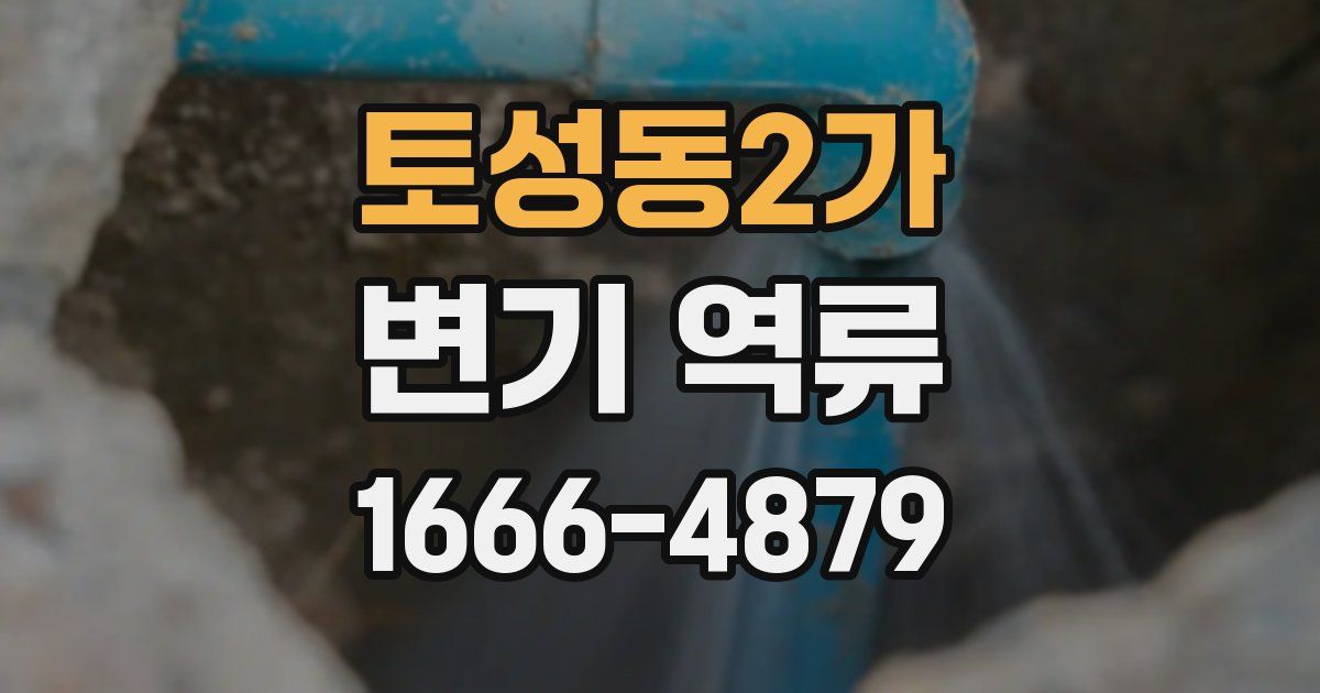 토성동2가 변기 역류