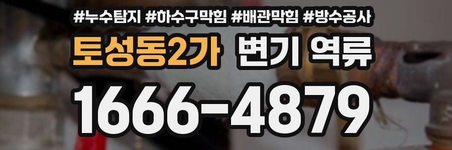 토성동2가 변기 역류