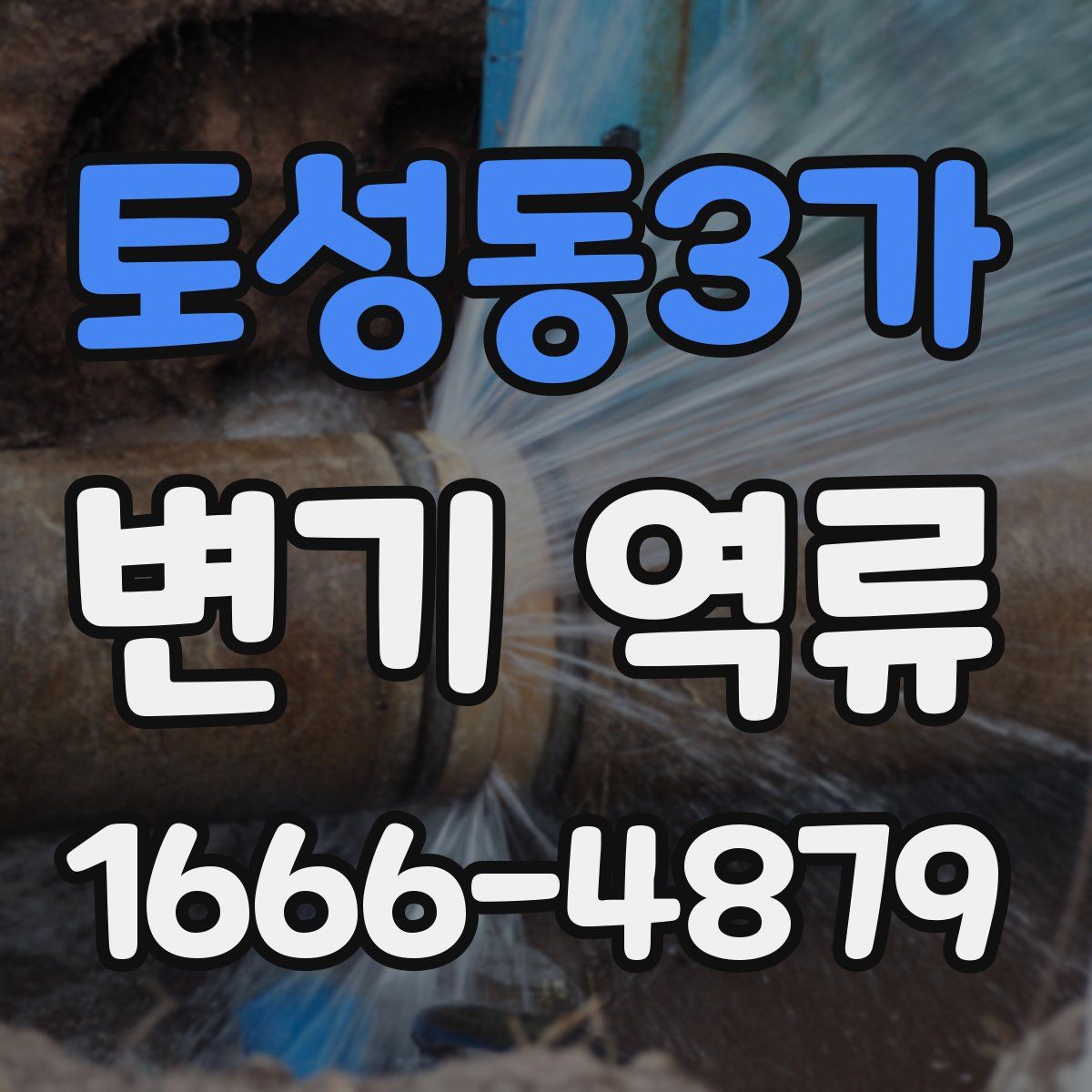 토성동3가 변기 역류