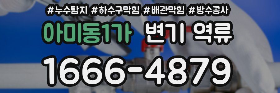 아미동1가 변기 역류