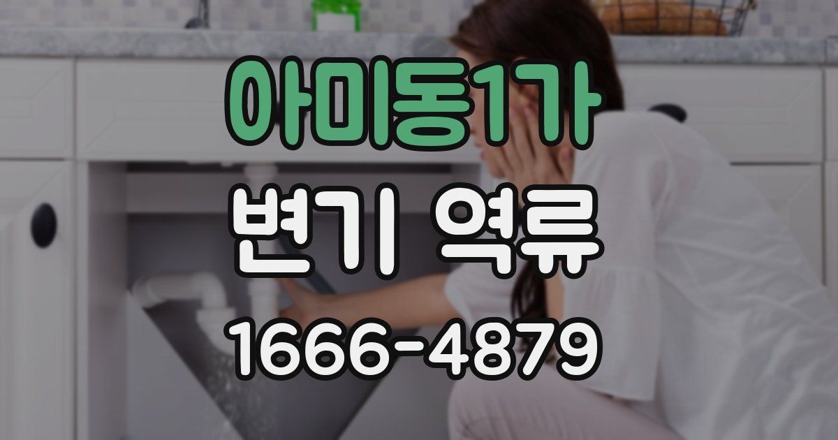 아미동1가 변기 역류