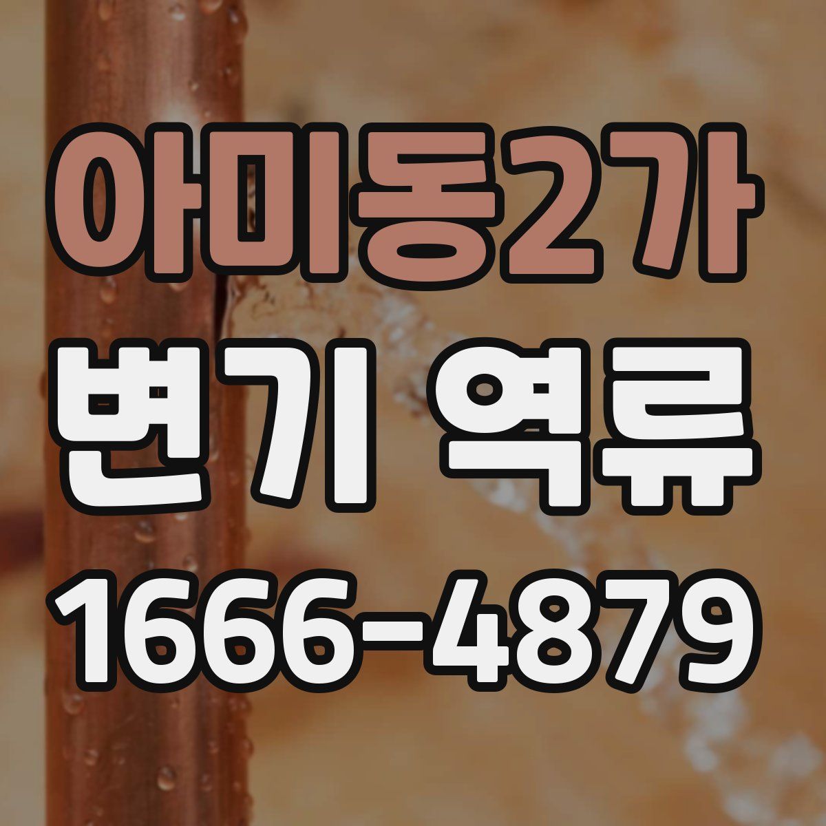 아미동2가 변기 역류