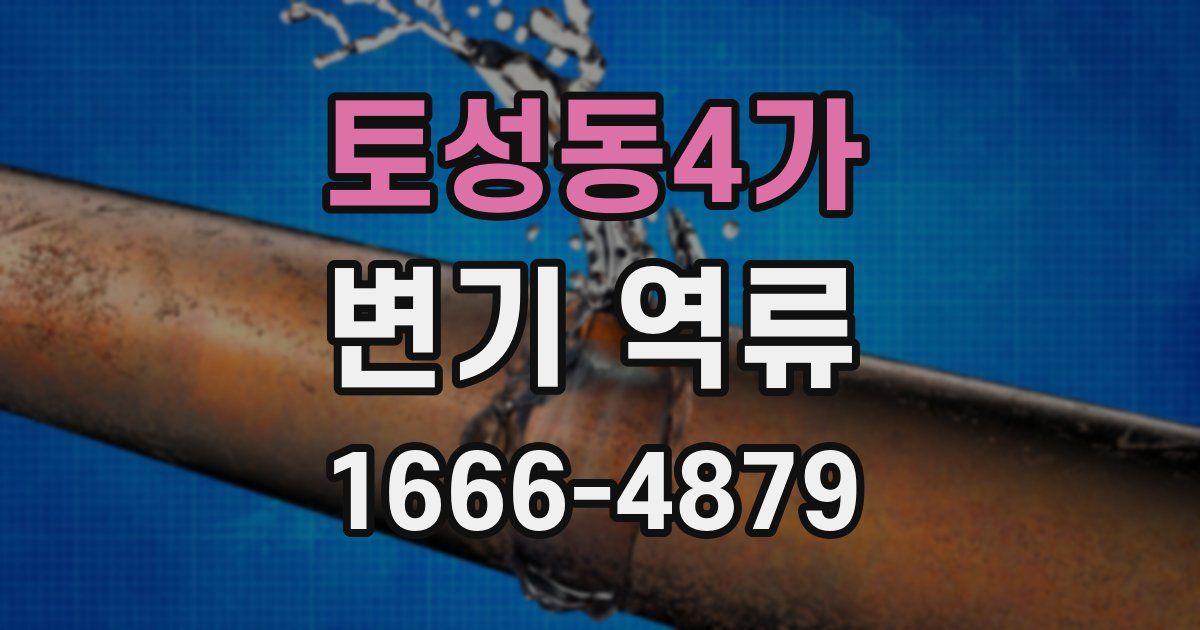 토성동4가 변기 역류