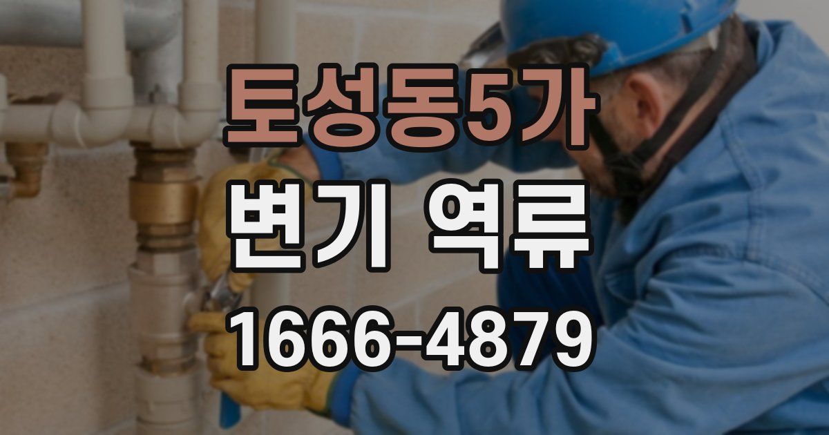 토성동5가 변기 역류