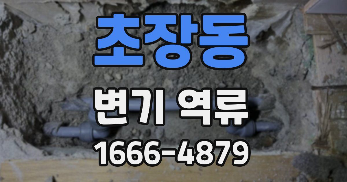 초장동 변기 역류