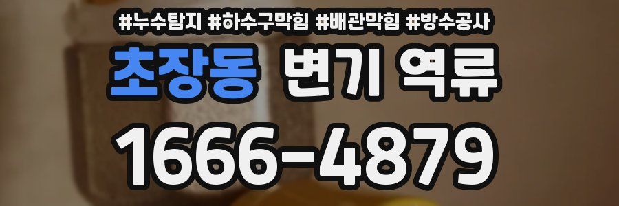 초장동 변기 역류