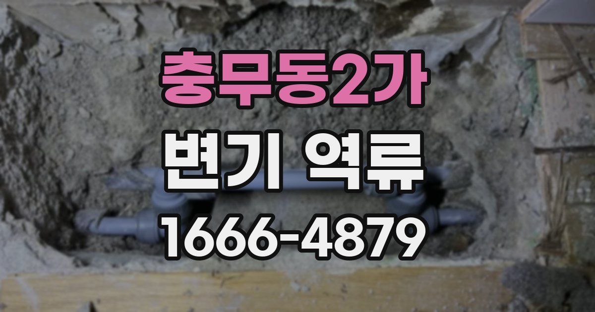 충무동2가 변기 역류