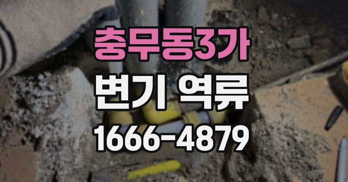충무동3가 변기 역류