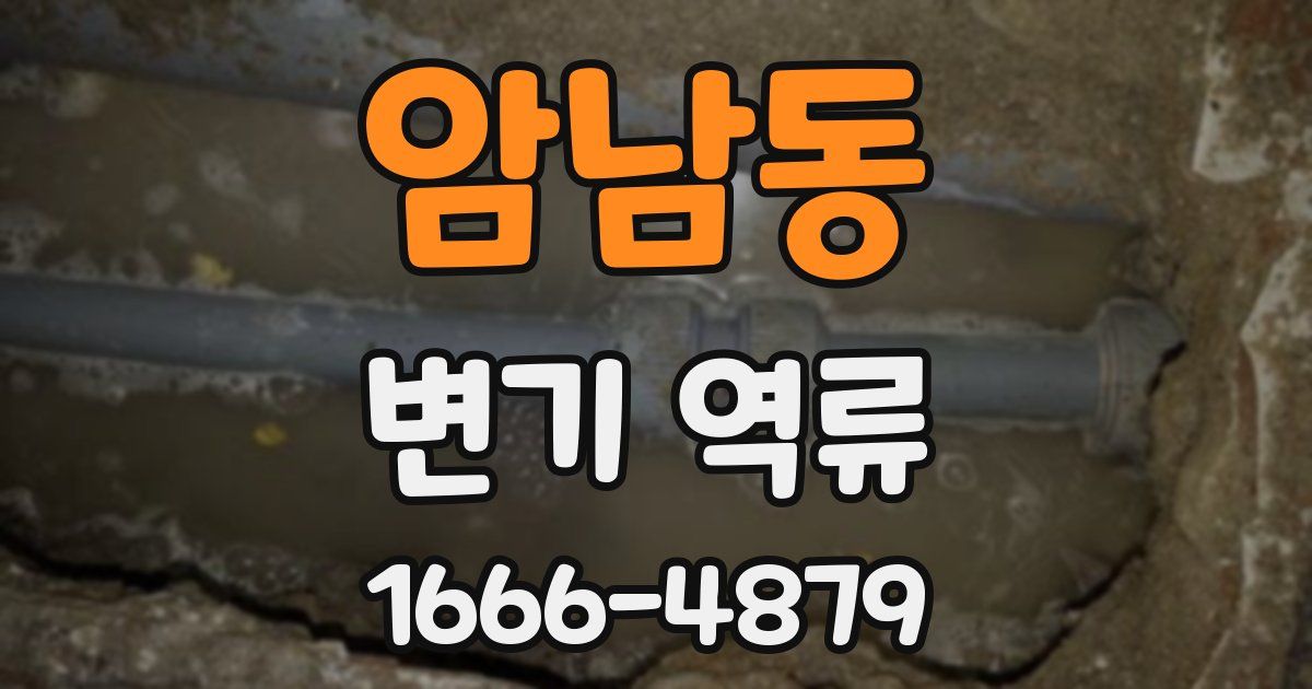 암남동 변기 역류