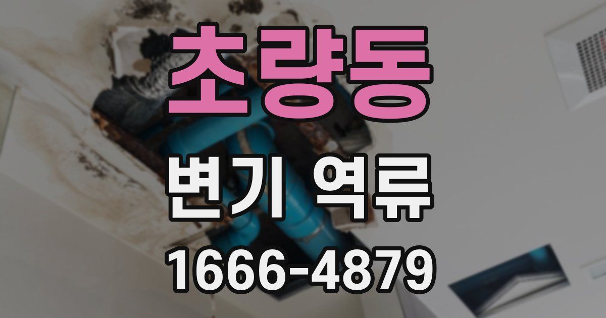 초량동 변기 역류