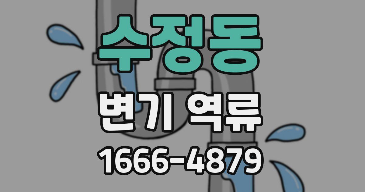 수정동 변기 역류