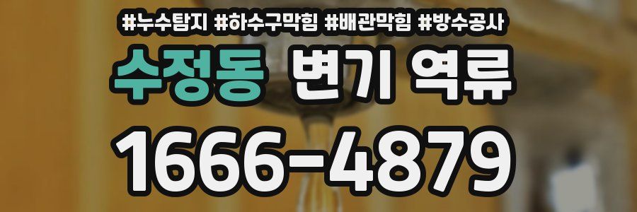 수정동 변기 역류