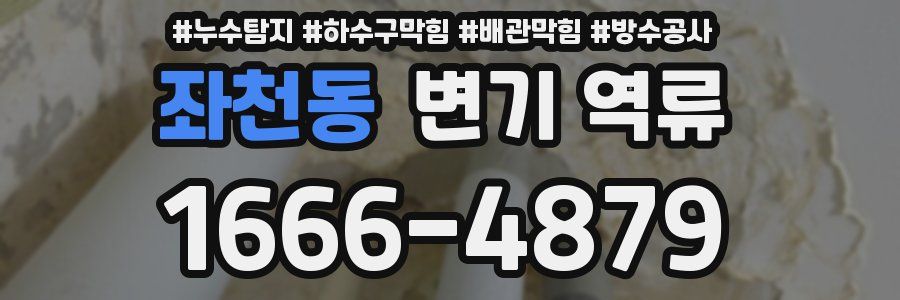 좌천동 변기 역류