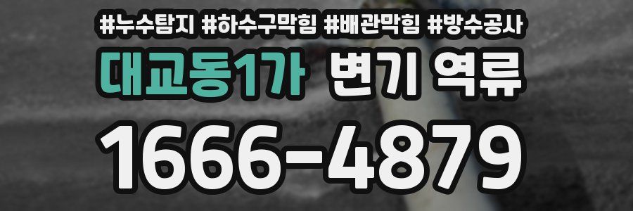대교동1가 변기 역류