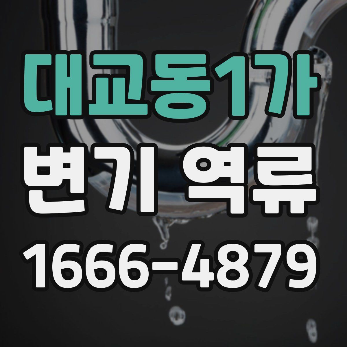 대교동1가 변기 역류